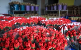 Antalya, çiçek ihracatında hedefine ulaştı
