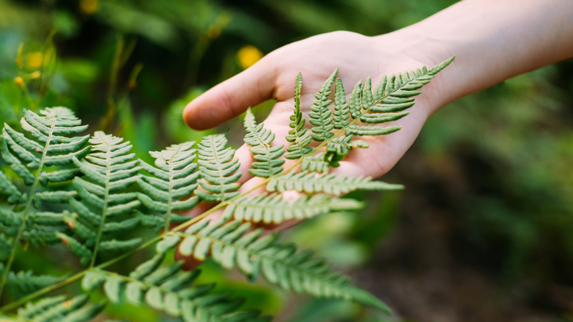 İyi karmanın 12 faydası